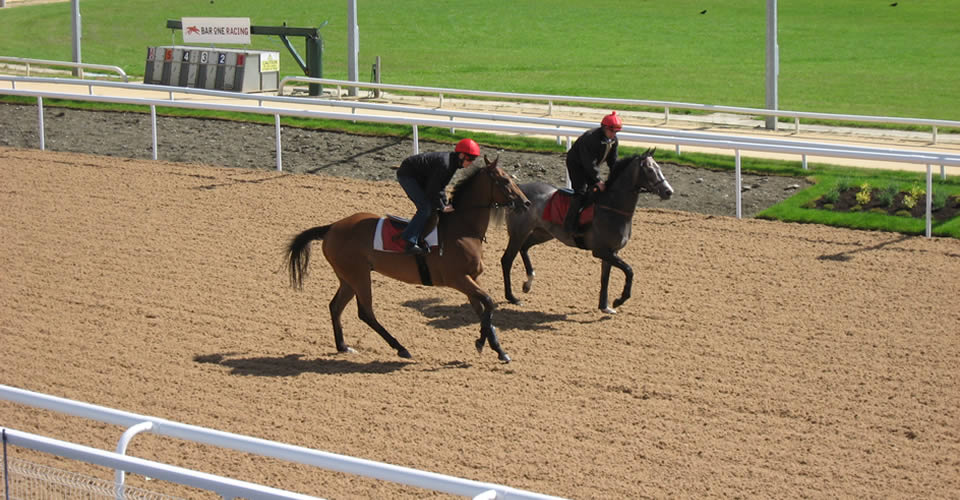 Dundalk Racecourse, Dundalk, Co. Louth