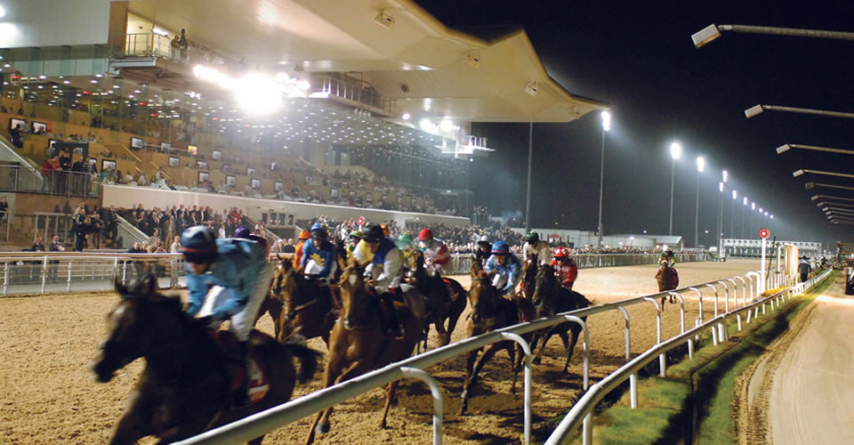 Dundalk Racecourse, Dundalk, Co. Louth