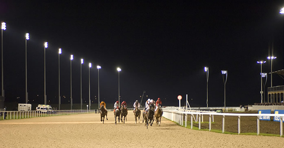 Great Leighs Racecourse, Chelmsford, Essex