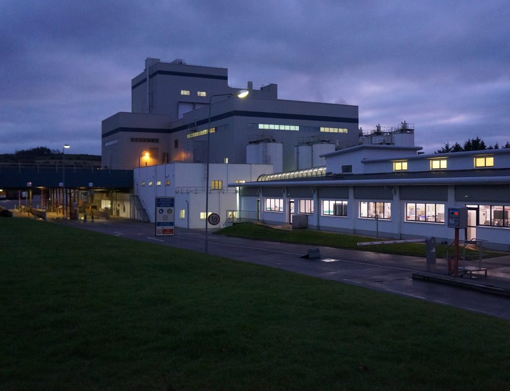 Project Munster, Danone