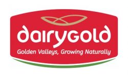 Dairygold Food Ingredients Mallow – New Dryer & Evaporator